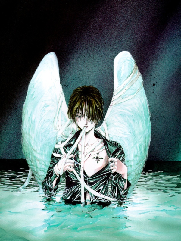 Otaku Gallery  / Art Books / Angel Sanctuary - Angel Cage / 013.jpg